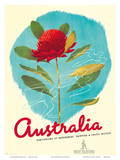 1935 Australia Shipping Prints by Gert Sellhein