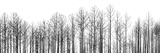 Straightforward Prints by Jamie Cook