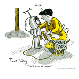 Hazel Cartoon Poster by Ted Key