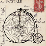 Velo Prints by Sabine Berg