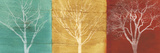 Fallen Leaves Posters by Stephane Fontaine