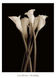 The Gathering Posters af John Rehner The Gathering Posters af John Rehner