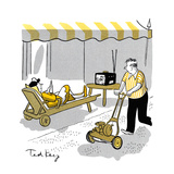 Hazel Cartoon Prints by Ted Key