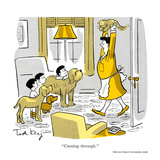 Hazel Cartoon Posters by Ted Key
