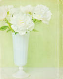 Green Dream I Print by Shana Rae