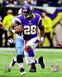 Adrian Peterson 2012 Action Photo