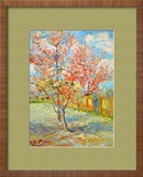 Peach Tree in Bloom at Arles, c.1888 Framed Giclee Print by Vincent van Gogh