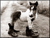 Adult Horse with Giant Boots Mounted Photo