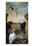 Gefluegel Im Hofe Eines Landhauses Giclee Print by Melchior d'Hondecoeter