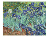 Les iris, 1889 Reproduction procédé giclée par Vincent van Gogh