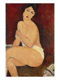 Sitzender Akt Auf Einem Diwan (Oder: La Belle Romaine), 1917 Giclee Print by Amedeo Modigliani