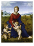 La  Madone du Belvédère Reproduction procédé giclée par Raphael 
