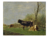 Viehstueck, 1910 Giclee Print by Viktor Weishaupt