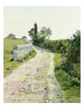 Sunny Path, about 1890 Impressão giclée por Ferdinand Hodler