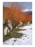 Pastures in the Winter Sun, about 1900 Giclee Print by Alexander Koester