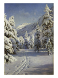 Wintery Landscape Near Morteratsch, 1920 Giclee Print by Peder Moensted