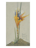 Feuerblume Ii. (More Ground), um 1895 Giclee Print by Hermann Obrist
