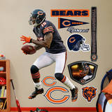 Brandon Marshall Wall Decal
