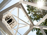 University of Georgia: the Sun Through the Trees on Campus Photographic Print