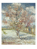 Bluehende Pfirsichbaeume (Souvenir De Mauve), 1888 Reproduction procédé giclée par Vincent van Gogh