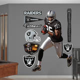 Darrius Heyward-Bey Wall Decal