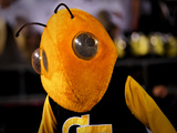 Georgia Institute of Technology: Georgia Tech Yellow Jacket Fotografisk tryk