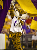 Louisiana State University: Mike the Tiger and the LSU Flag in Tiger Stadium Photographie