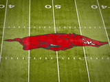 University of Arkansas: Arkansas Logo on the Field at Razorback Stadium Photographic Print