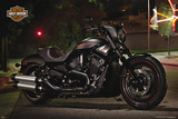 Harley Davidson - Night Rod Posters