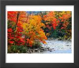 Stream in Autumn Woods Prints by Jack Hollingsworth