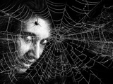 Black Widow Photographic Print by  Exploding Art