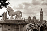 London - Lion Prints