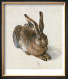 Hare, 1502 Art by Albrecht Dürer