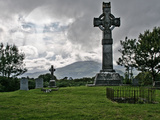 Back from the Grave Photographic Print by  Exploding Art