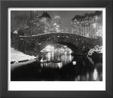 New York Pond in Winter Posters by Bettmann 