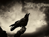 King of Crows Photographic Print by  Exploding Art