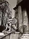 Guardian Photographic Print by  Exploding Art