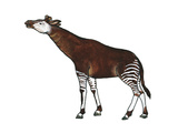 Okapi Giclee Print by Eva Jaeger