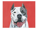 Misunderstood Stampa giclée di Mary-Jo Murphy
