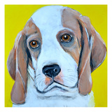 Not Guilty Giclee Print by Mary-Jo Murphy