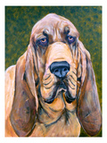 Search and Rescue Giclee Print by Mary-Jo Murphy