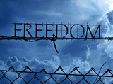 Freedom Photographic Print by  Exploding Art