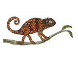Chamaeleon Giclee Print by Eva Jaeger