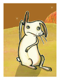 Wuestenhase Giclee Print by Meike Toepperwien