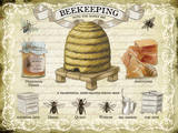 Beekeeping Tin Sign