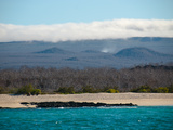 Plaza Sur (Galapagos) Photographic Print by Oliver Schwartz