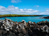 Seymour Norte (Galapagos) Photographic Print by Oliver Schwartz