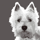 West Highland Terrier Posters by Emily Burrowes