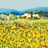 Lemon Grove, Tuscany Print by Hazel Barker