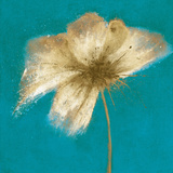 Floral Burst II Print by Emma Forrester